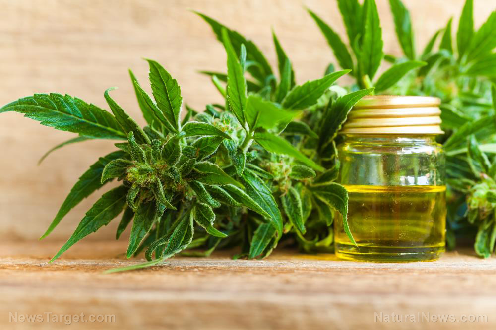 Image: What science is confirming about the benefits of CBD oil