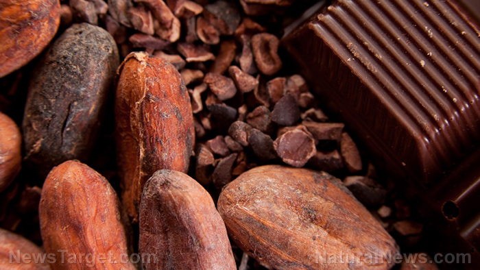 Image: Cure for coughs found in chocolate? Study finds that cocoa is effective cough medicine