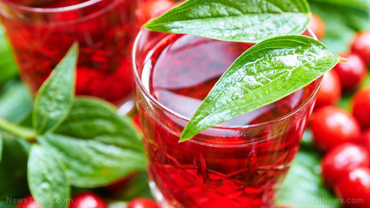 Image: Drink cranberry juice to decrease your risk of UTI by half