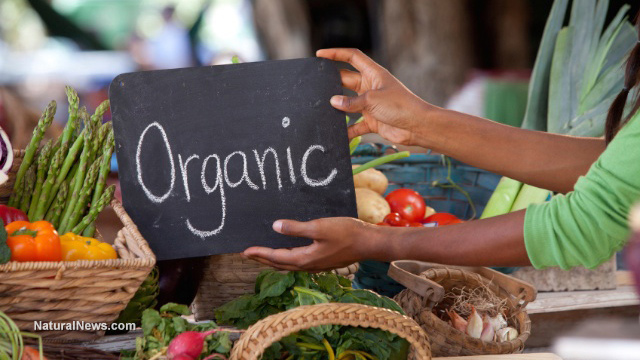 Image: Do you know the history of organic farming?