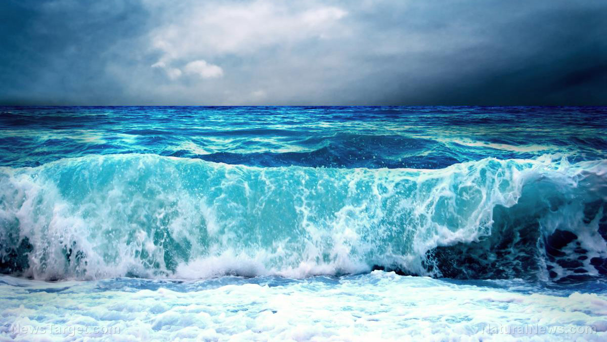 Image: Researchers discover ways to obtain energy from marine currents more efficiently