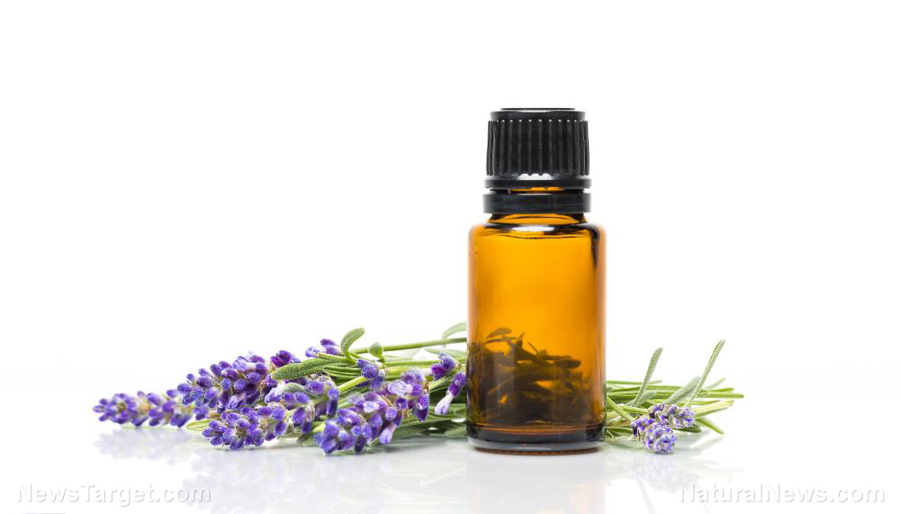 Image: Anxious? Inhaling lavender oil can dramatically reduce your stress, study finds
