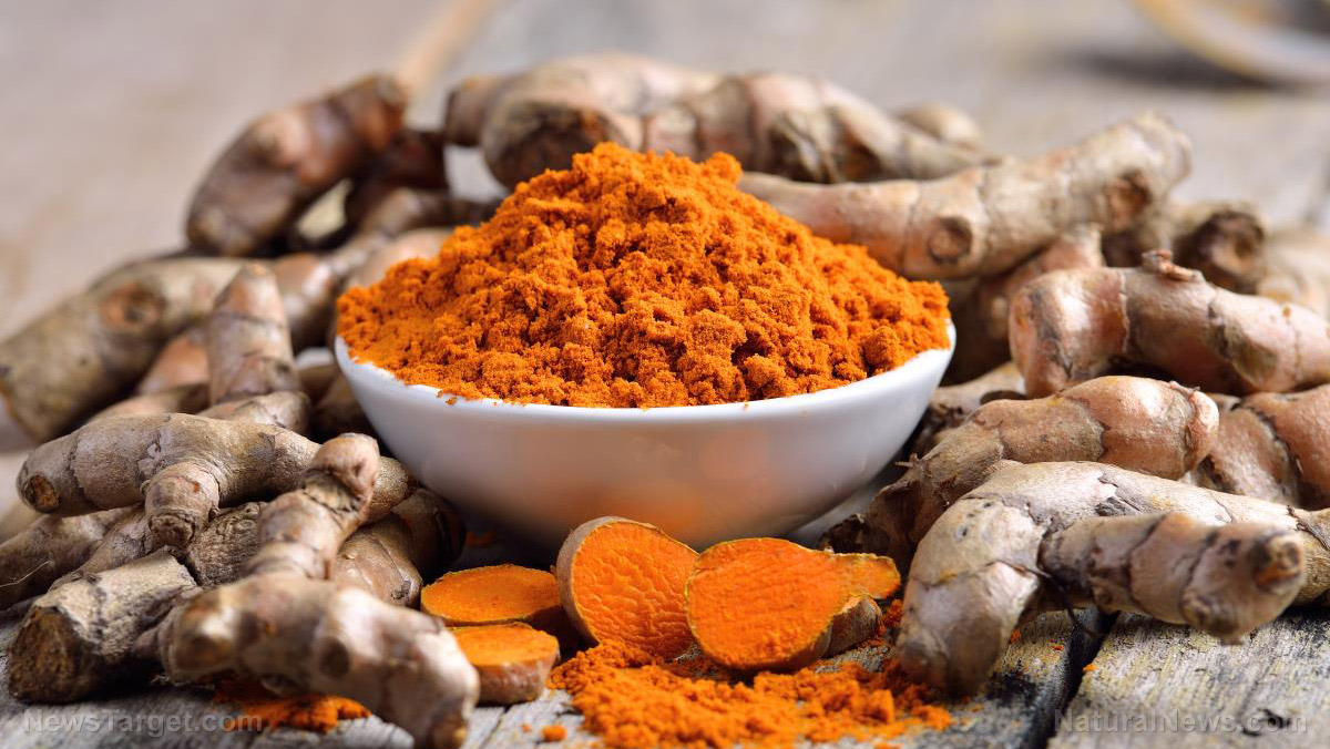 Image: Curcumin found to aid in the healing of skin wounds