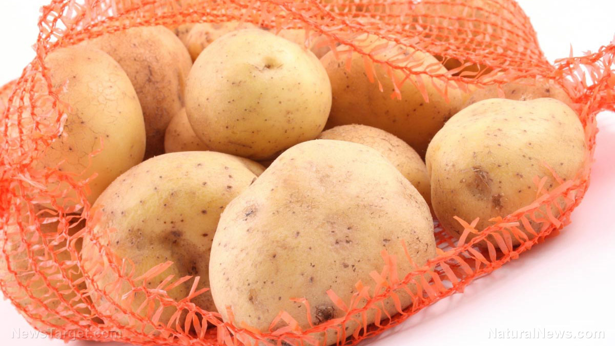 Image: Cultivated for more than 10,000 years, sweet potatoes have out-lived many civilizations they helped nourish