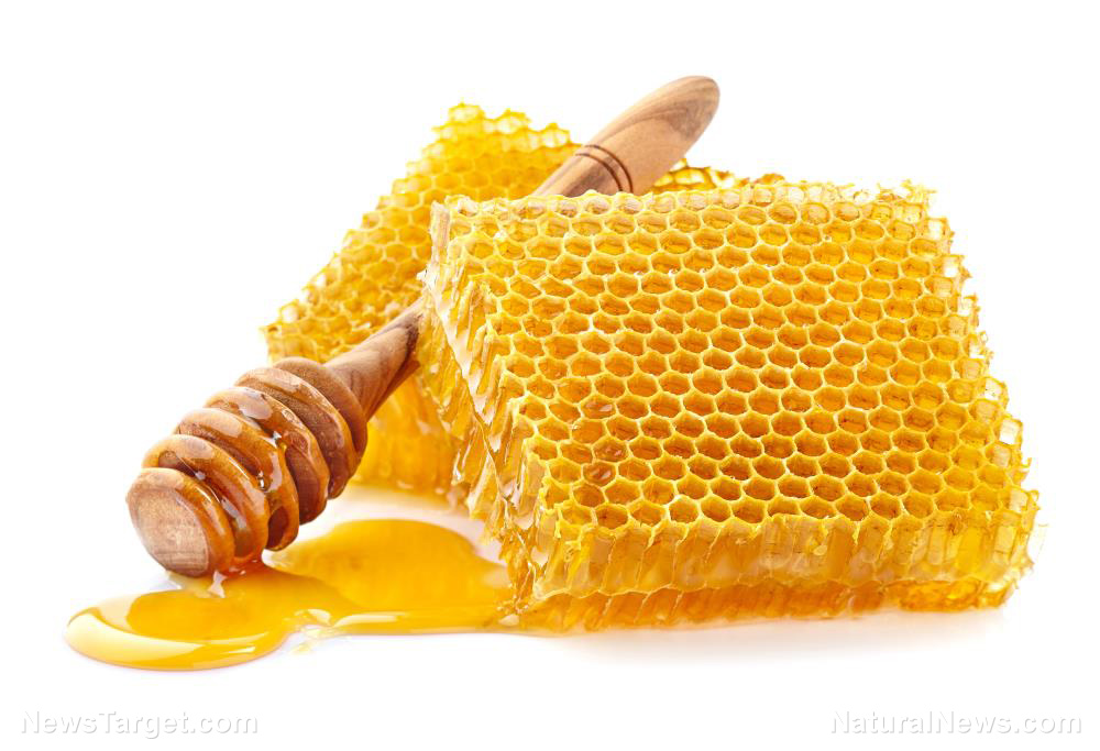Image: Natural cancer solutions: Aloe vera and honey can reduce tumor progression