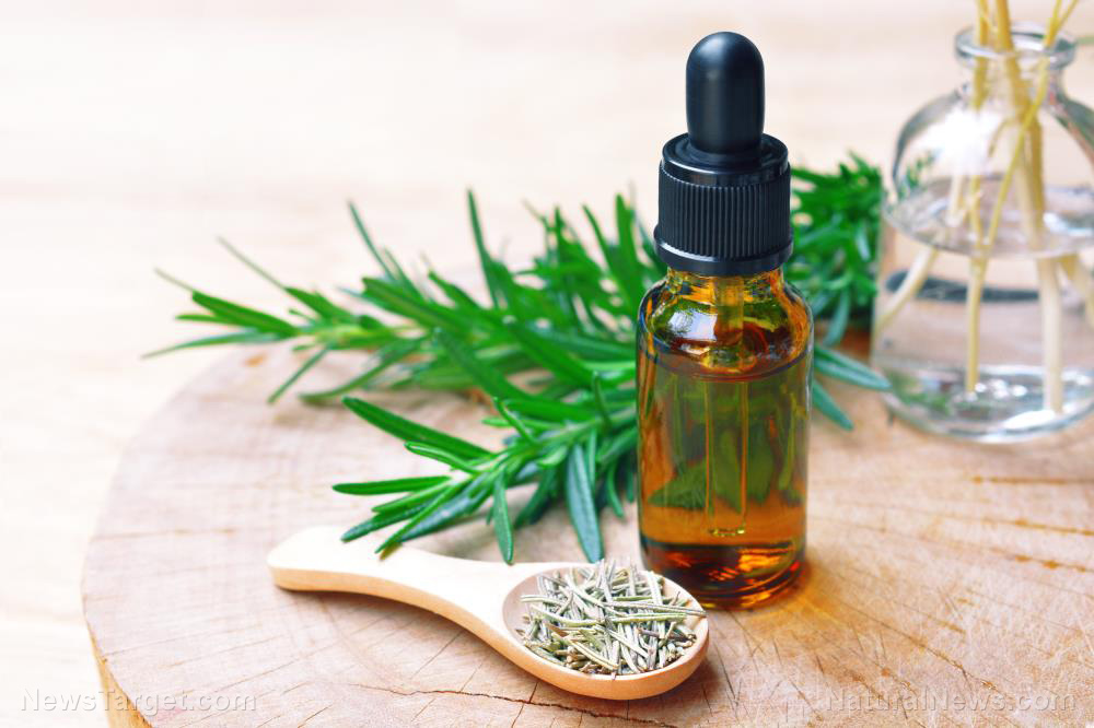 Image: Ginger and rosemary oil found to lower cholesterol levels