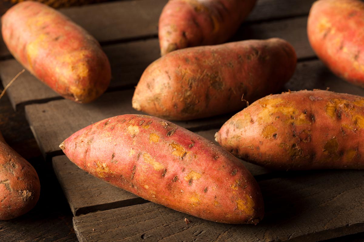 Image: Scientists attempt to fight vitamin A deficiency in Africa by developing sweet potato-fortified bread