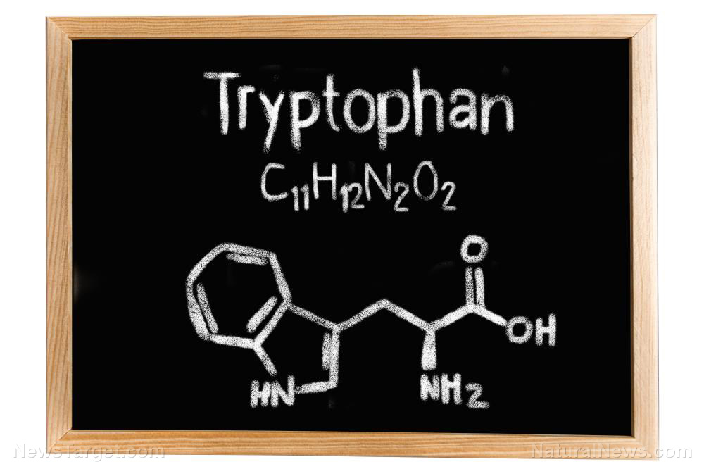 Image: Tryptophan found to be necessary for better mental health