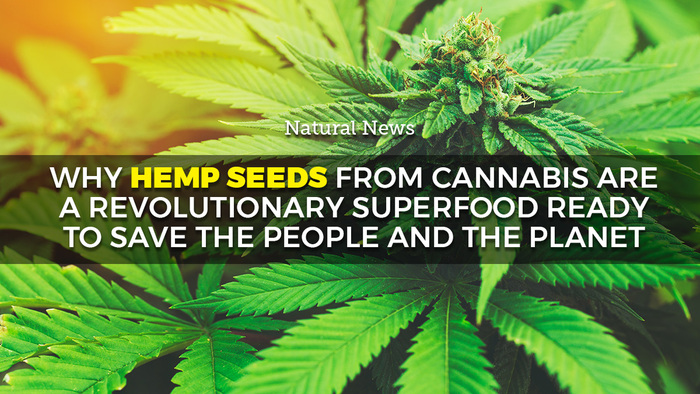Image: Why hemp seeds from cannabis are a revolutionary superfood ready to save the people and the planet