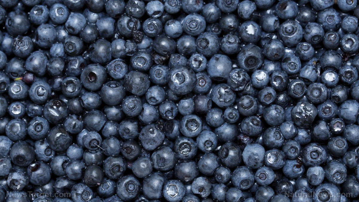 Image: New research documents four important benefits of blueberries