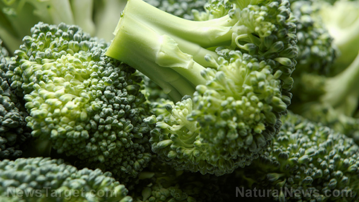 Image: Powerful natural medicine in broccoli sprouts found to prevent cancer and protect the brain from stroke damage