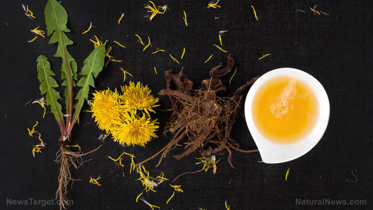 Image: Heal your thyroid with dandelion… and 9 other powerful tonics to try