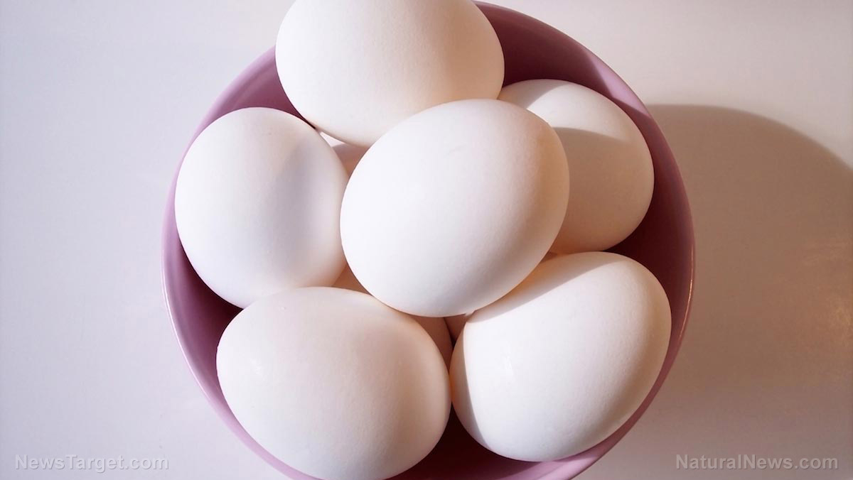 Image: Should eggs be prescribed for diabetes and dementia?
