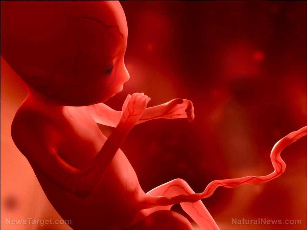 Image: The SILENCE is deafening: Not a single Democrat speaks out against infanticide