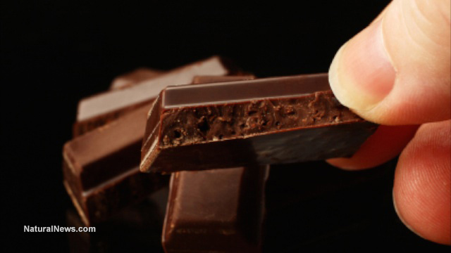 Image: Dark chocolate may be nature’s perfect superfood