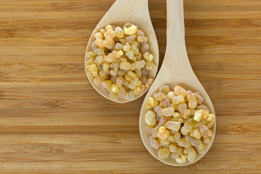 Image: Frankincense is a healing substance that has a number of likely health benefits