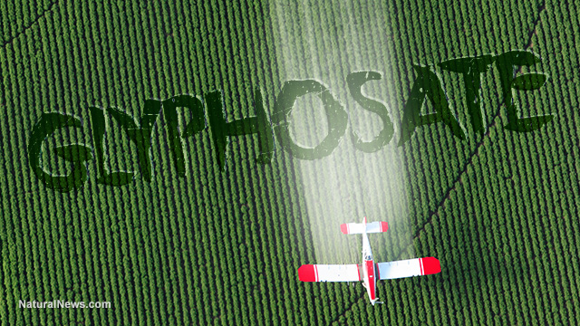 Image: Glyphosate exposure found to hike non-Hodgkin lymphoma risk by 41% … and this deadly weed killer chemical inundates our food supply