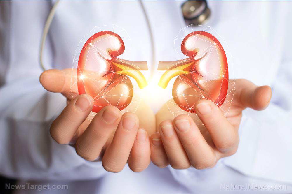 Image: Easily avoid kidney disease by improving your diet