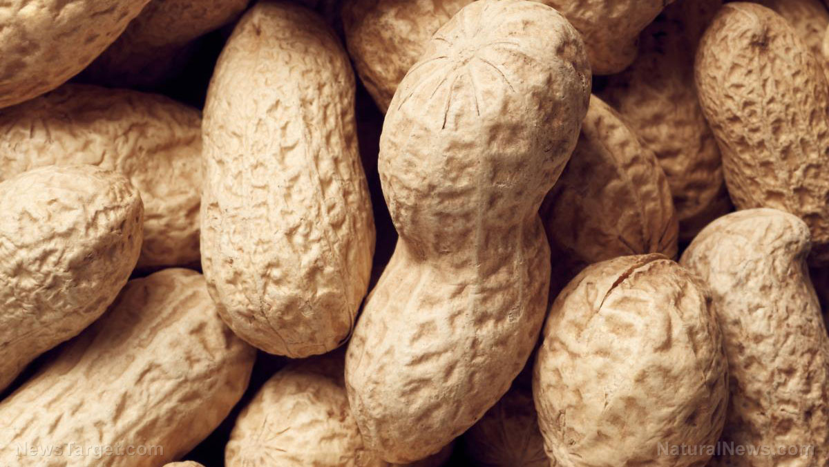 Image: Allergic to peanuts? Probiotics found to be effective at ending the threat – naturally