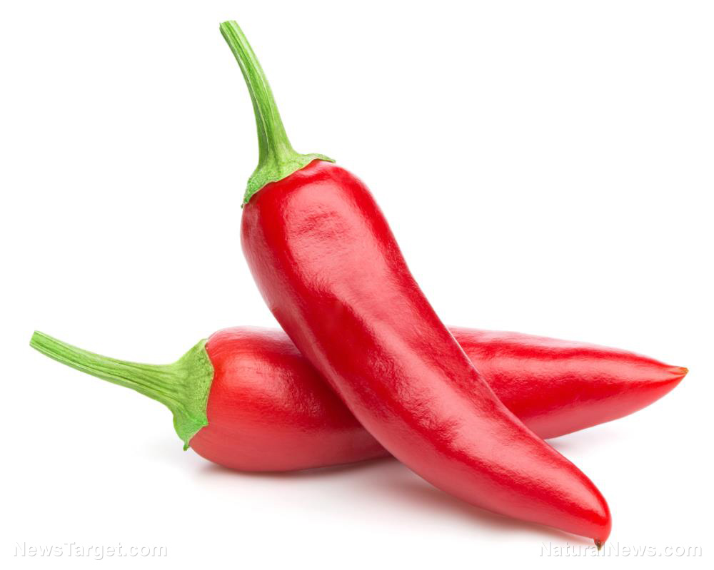 Image: Cayenne peppers are medicinal powerhouses that deserve a spot in your emergency medical kit