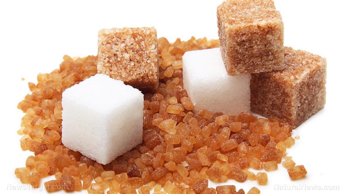 Image: Sugar amplifies the effects of an anticancer compound used in Traditional Chinese Medicine