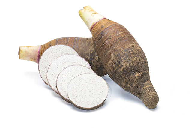 Image: Taro leaves, also known as elephant ears, can be used as prebiotics for animals when pre-treated with enzymes
