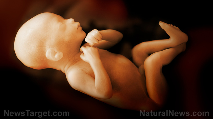 Image: Aborted baby remains discovered in warehouse of biotech company that ran human body parts trade in America