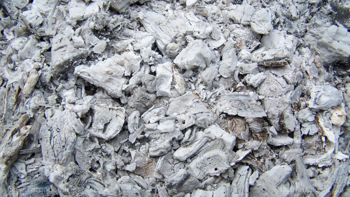 Image: Natural soil amendments: Wood ash and crushed rock effectively increase nitrogen bioavailability in soil, acting as a non-chemical fertilizer