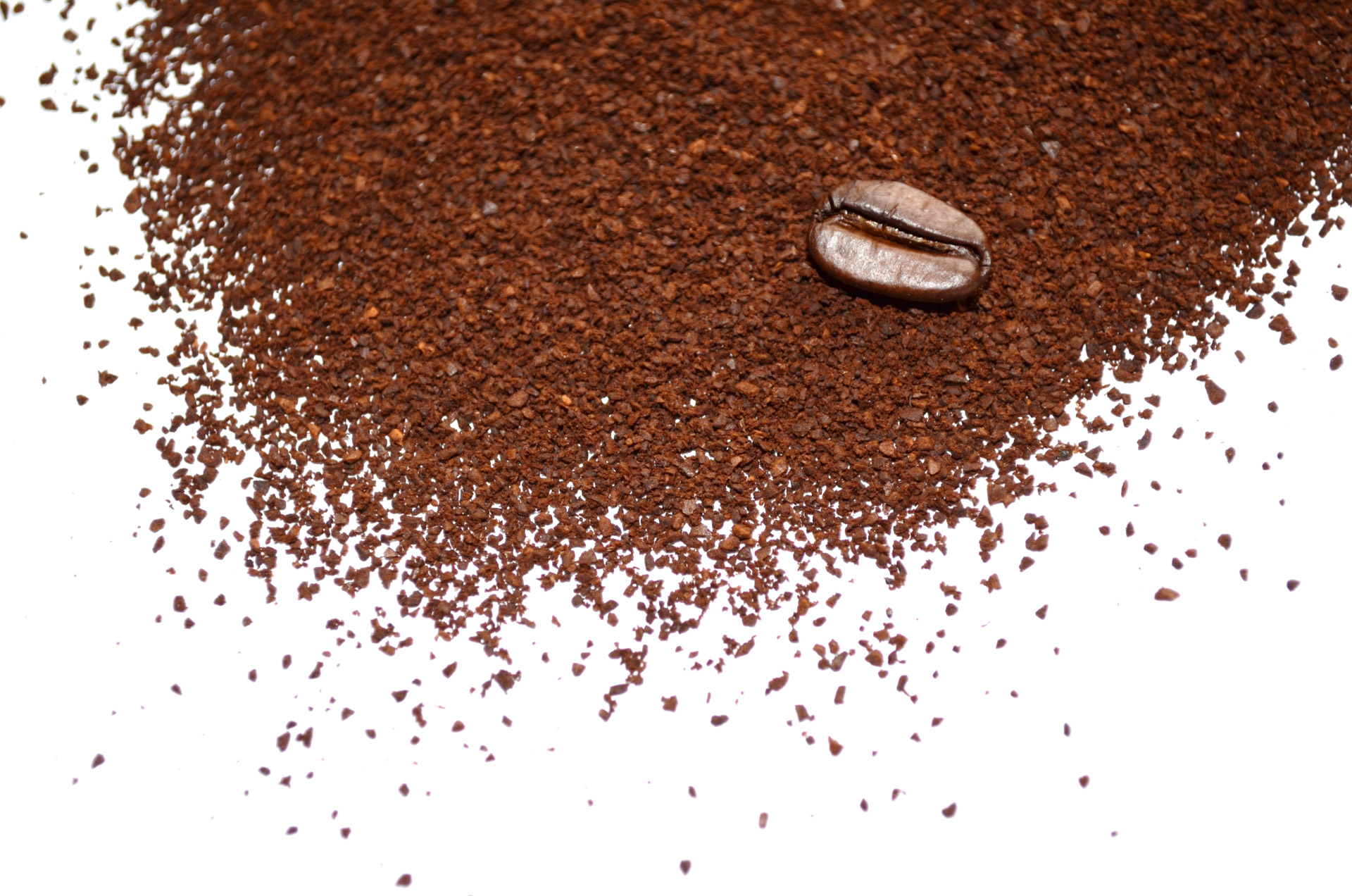 Image: Functional recycling: Spent coffee grounds can make soil more fertile