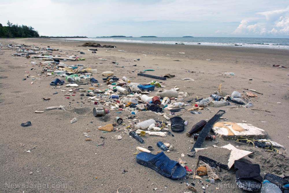 Image: Are organized clean-ups really saving the world’s beaches?
