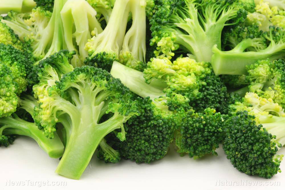 Image: Is this cruciferous vegetable the key to brain regeneration?