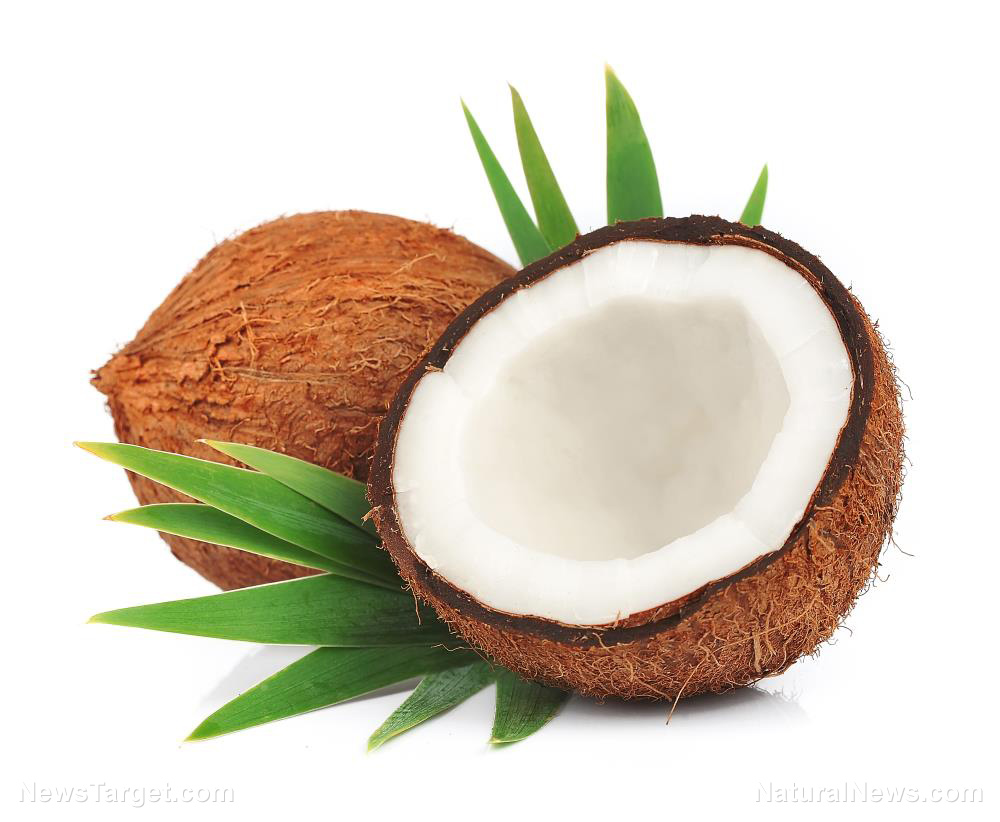 Image: Scientific review proves that coconut palm is the most naturally widespread medicinal fruit plant