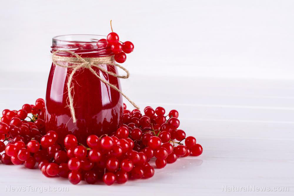 Image: Cranberries offer an excellent way to boost your health, say nutrition researchers