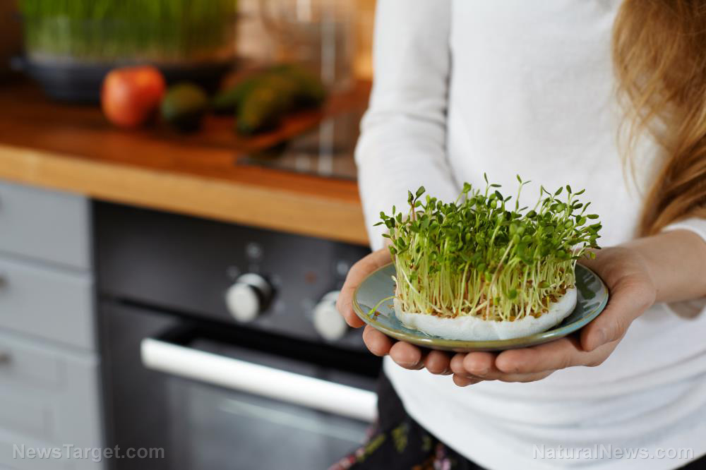 Image: Why sprouts are the ultimate prepper food for cost-effective nutrition