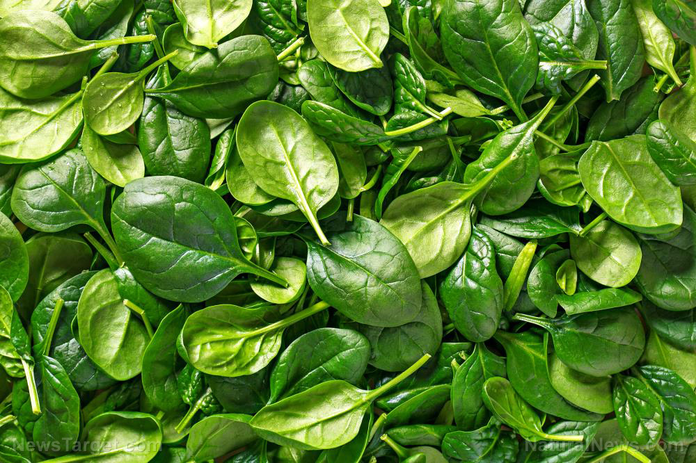 Image: Close to 75% of conventionally grown spinach found to contain residue from toxic insecticides