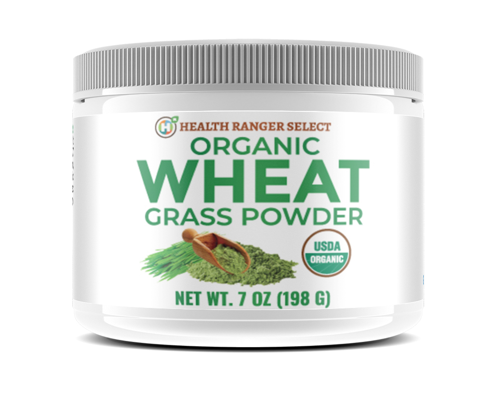 Image: Organic, glyphosate-tested Wheat Grass Powder now available at the Health Ranger Store (see the lab video)