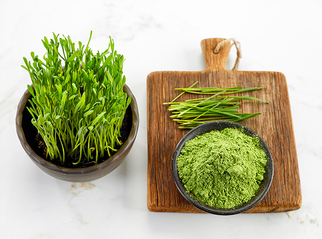Image: Barley grass is one of the best green superfoods for improving gut health