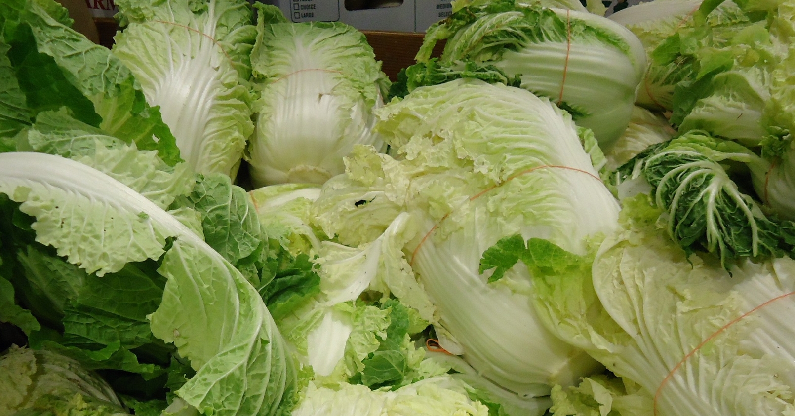 Image: Woman claims grocery store sold her PLASTIC cabbage
