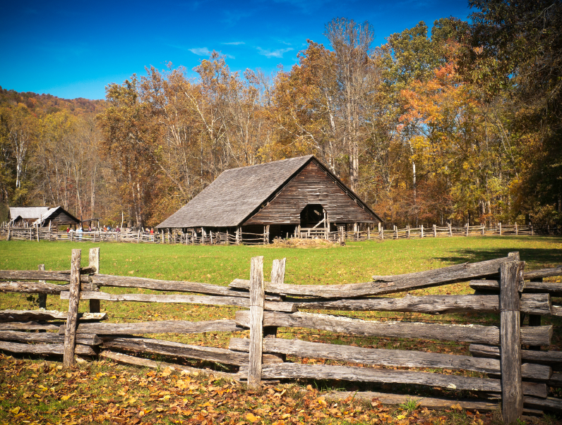 Image: 5 Important homesteading lessons to learn from American pioneers