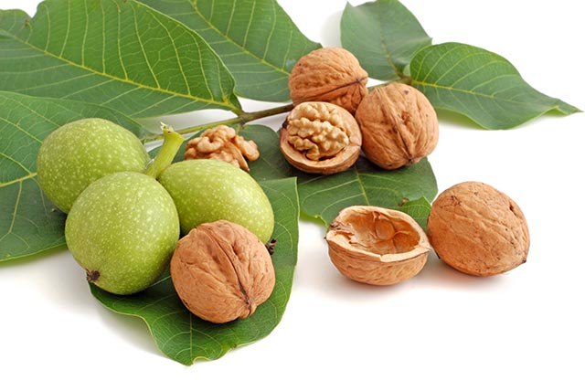 Image: The nutritional content and health benefits of pecans and walnuts