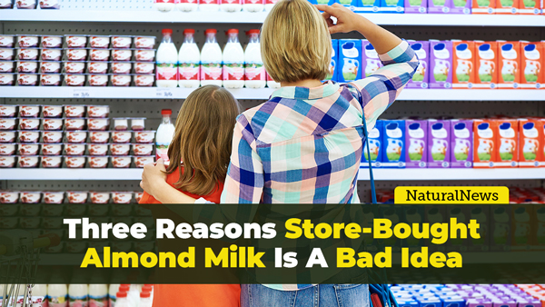 Image: 3 reasons why store-bought almond milk is a bad idea