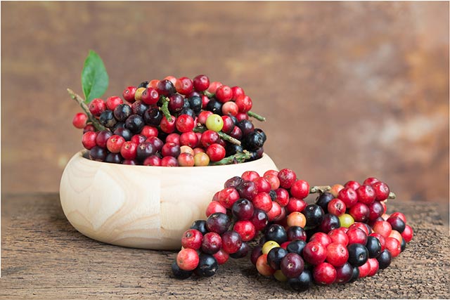 Image: Researchers look at the cardioprotective, antioxidant, and anti-inflammatory properties of maoberry