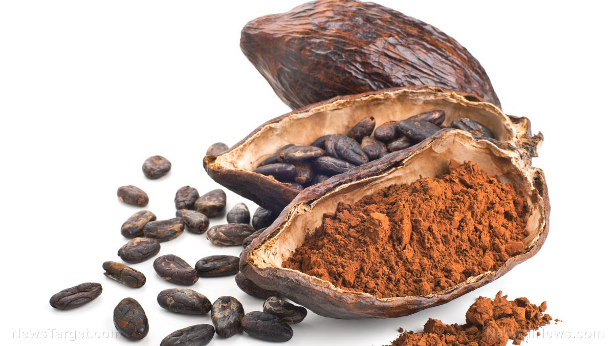 Image: Go for the original: Cacao offers more health benefits than regular chocolate