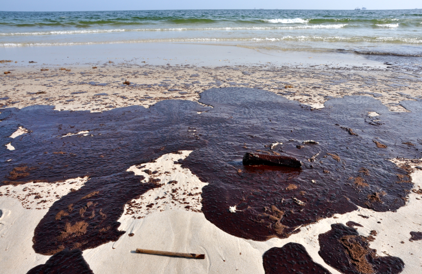 Image: Why oil spills are toxic: Scientists identify substance in crude oil that harms the hearts of fish and humans