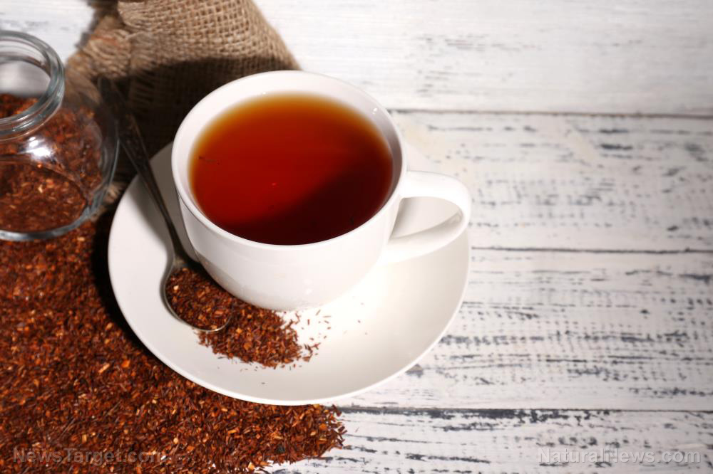 Image: Rooibos tea is a caffeine-free red tea that offers amazing health benefits