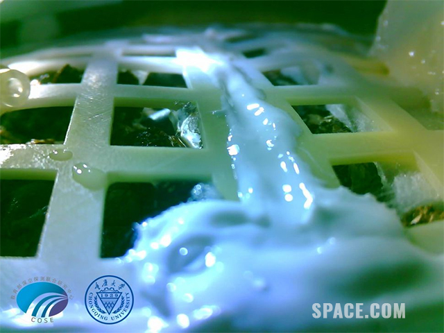 Image: China tried to grow cotton on the moon – and failed. Here’s why it’s still important