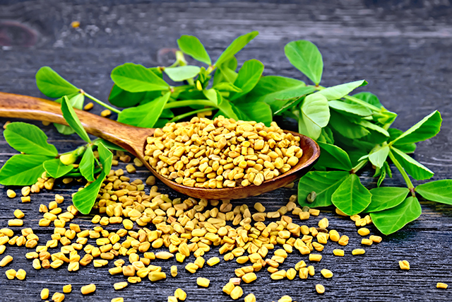 Image: Better together: Research suggests combining fenugreek seeds and garlic for better heart health