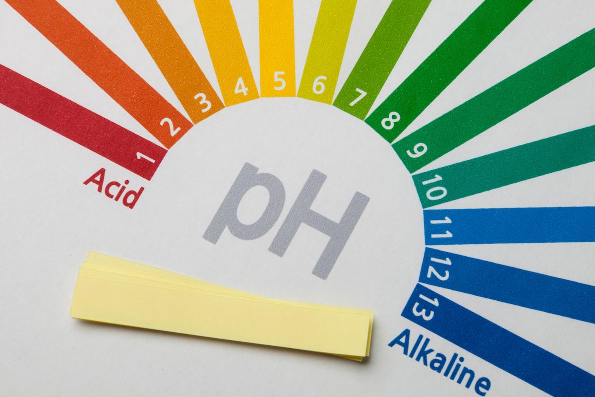 Image: Alkalinity and oxygen levels: Is there a connection between pH levels and cancer risk?