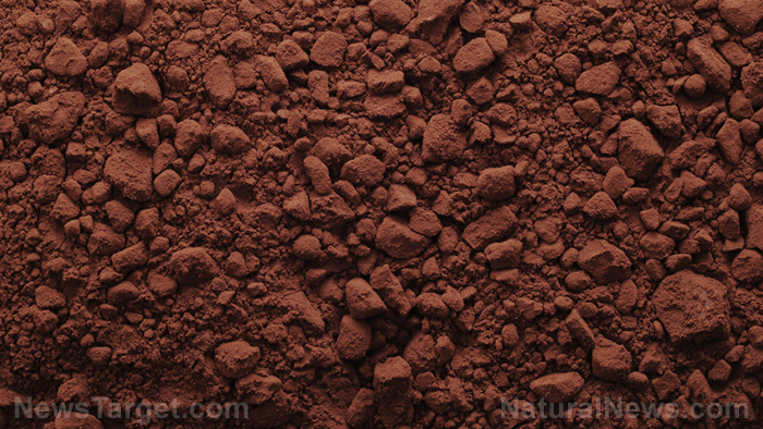 Image: Better chocolate, better benefits: High quality chocolate, without additives, is very good for the heart
