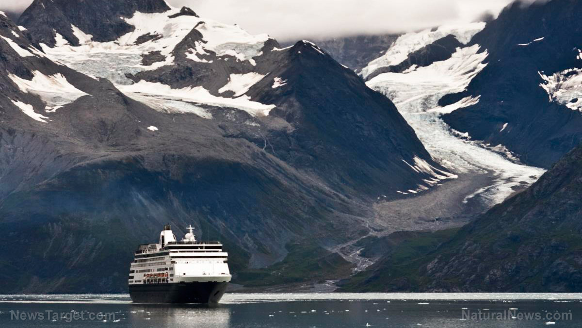 Image: Going on a cruise is FAR worse for the environment than driving an SUV, eating meat or forgetting to recycle